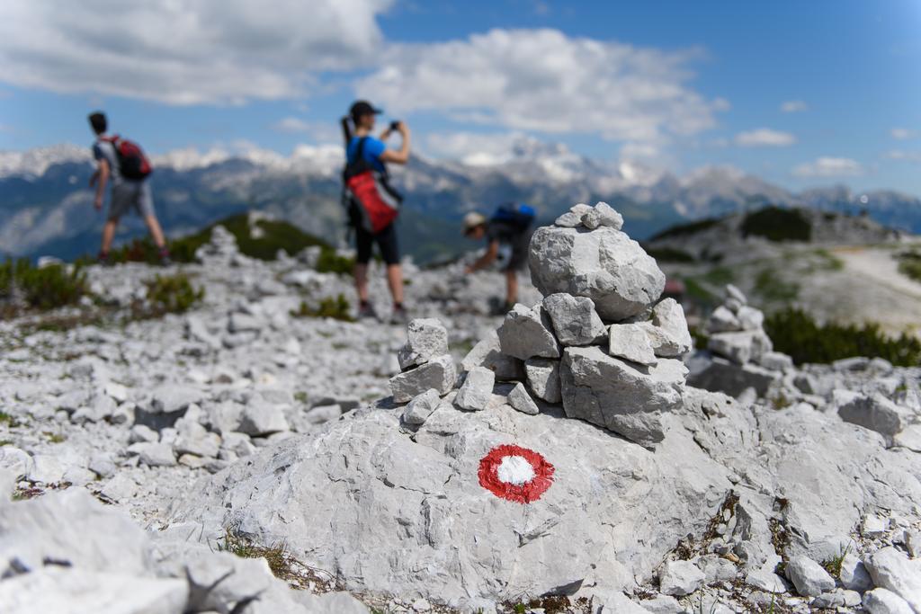 Penzion Vila Bistrica Bohinjska Bistrica Zewnętrze zdjęcie